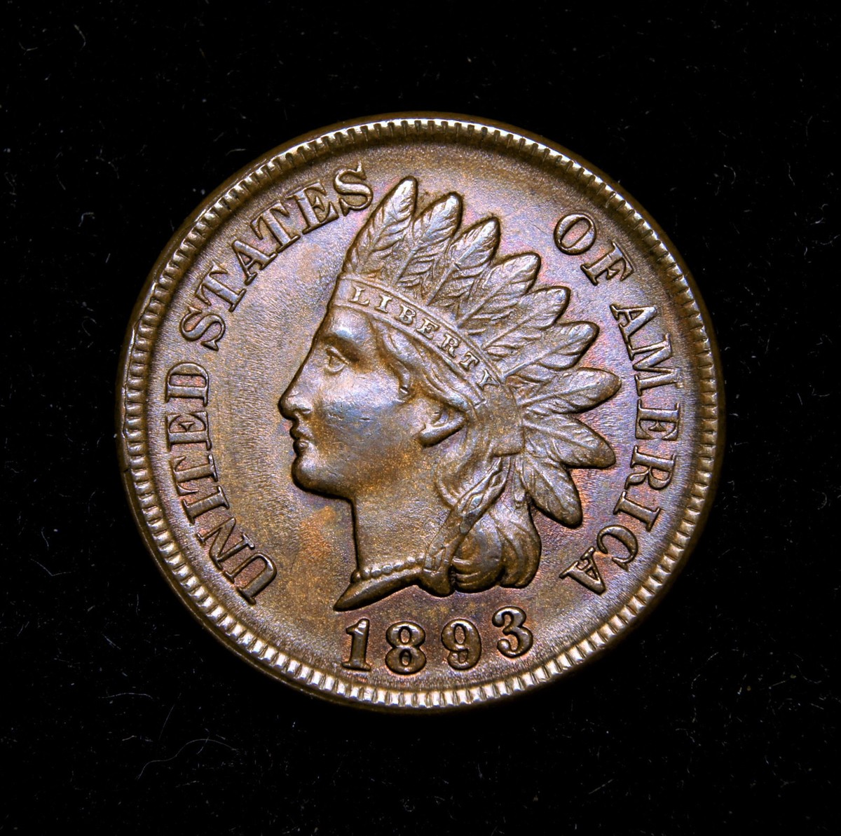 1893 Indian Head Cent MS+++++ Snow-14 | eBay