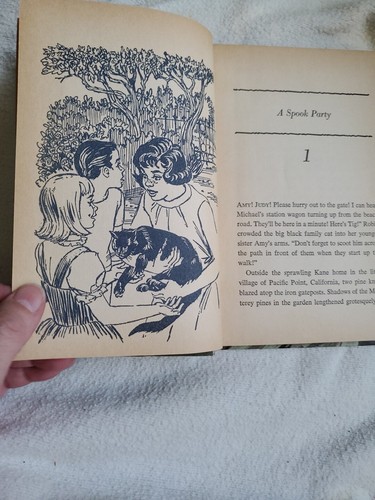 Robin Kane The Mystery Of Glengary Castle Book Eileen Hill, Whitman (HC, 1966) - Picture 6 of 11