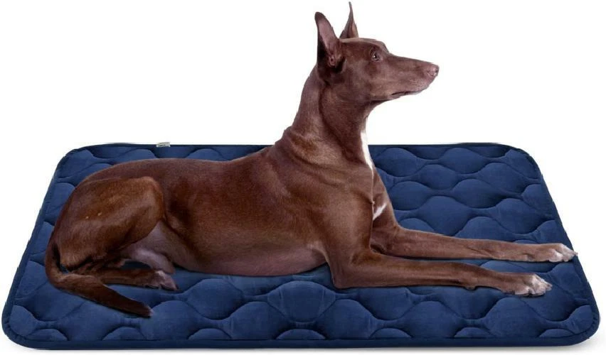 Hero hotsell dog mat