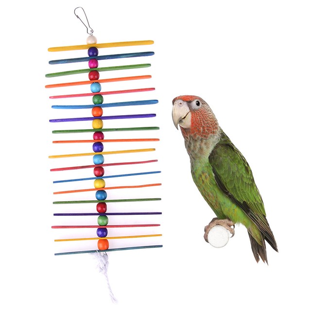 bulk parrot toys