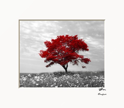 Black White Red Rose Flower Home Decor Matted Handmade Wall Art Picture - Picture 10 of 11