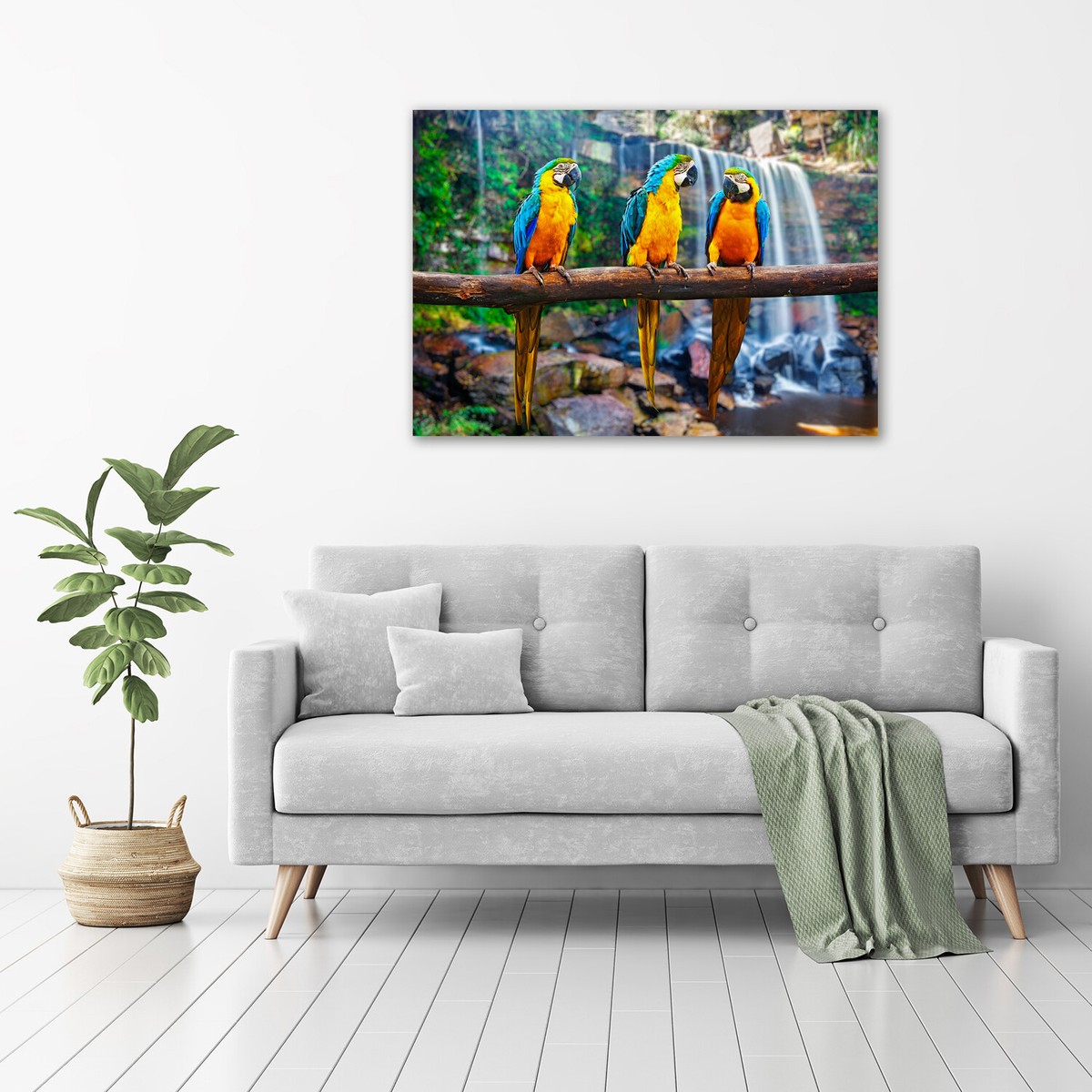 Tableau Déco Ara Perroquets Sur Verre Trempé 100x50 Cm – Neuf, Style Moderne