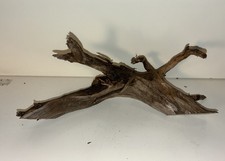 Florida Driftwood Branch Accent Piece For Aquarium Terrarium Coastal Decor