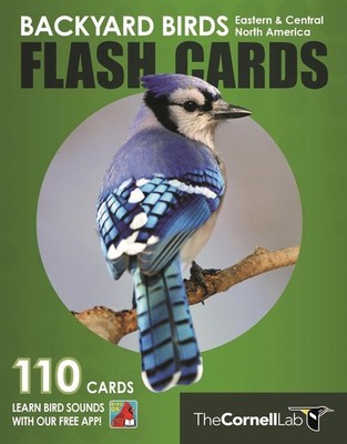 Backyard Birds Flash Cards - Eastern & Central North America by Cornell Lab of O
