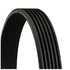 Keilrippenriemen für Opel Signum CC Z03 Vectra C Z02 24240097