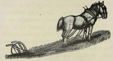 WORKING HORSE w PLOUGH - 1936 Print of a Woodcut By Marie Hartley