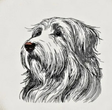 Bearded Collie Puppy Personalized Embroidered Fleece Stadium Blanket