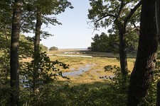 Photo:Wells Maine Rachel Carson NWR Marsh Trail Woodland 2017