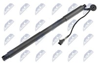 NTY AE-VV-001 Gasfeder, Koffer-/Laderaum Hinten Links FüR Volvo