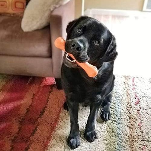 Jolly Pets Jolly Bone Durable Interactive Float Chew Dog Toy Orange XLarge - Afbeelding 4 van 7