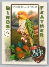 2021 Topps Allen & Ginter #BOF-9 Orange-Bellied Parrot Birds of a Feather *ZM