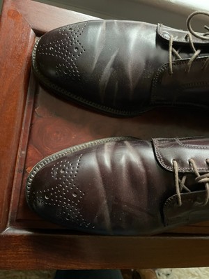 Alden Color 8 Shell Cordovan