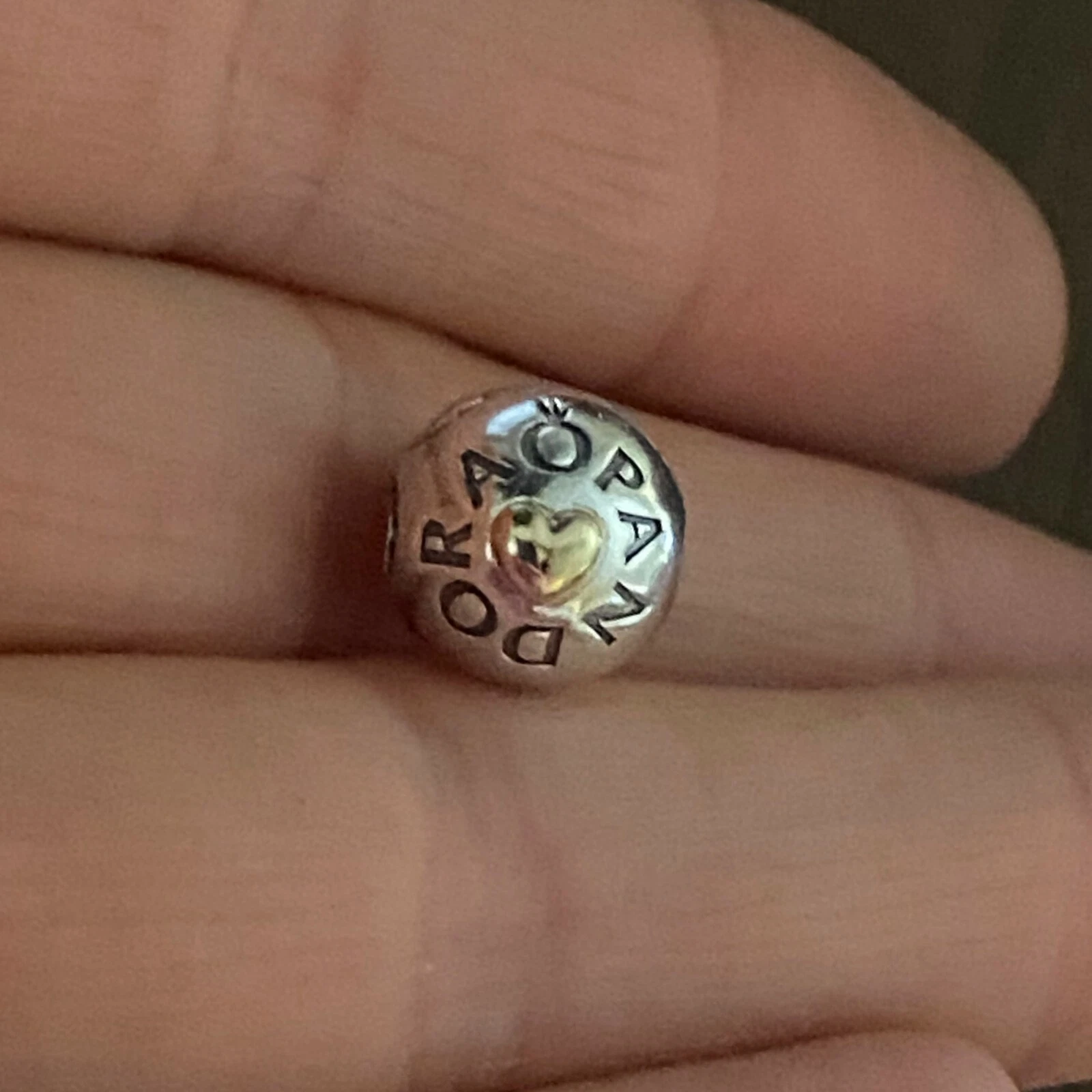 Picture 4 of 12