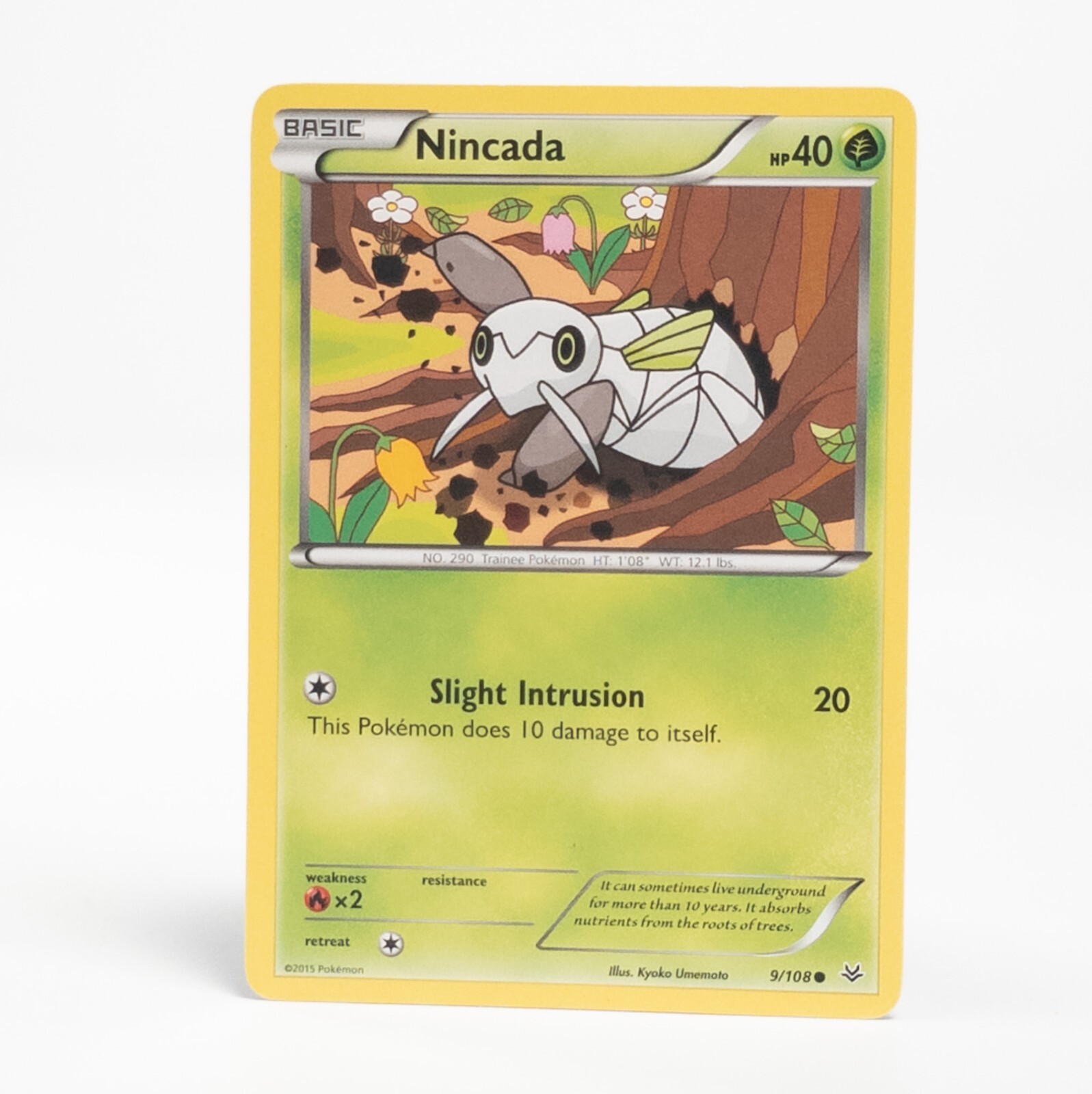 Nincada 9/108 Pokemon XY - Roaring Skies Common NM