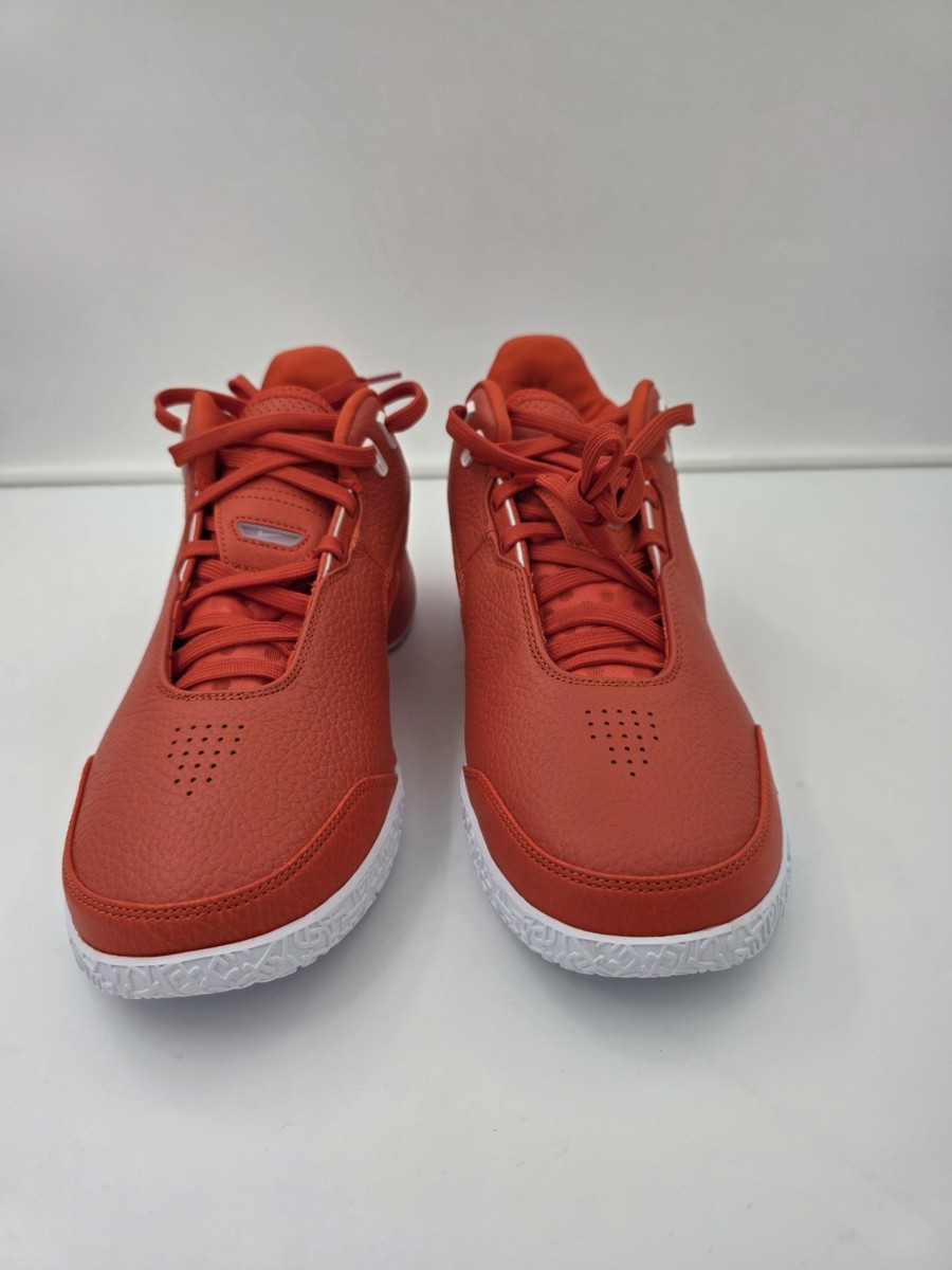 aobon　 LEBRON NXXT GEN 27cm Men's 10.5 Nike Zoom LeBron NXXT Gen TB Basketball Shoes