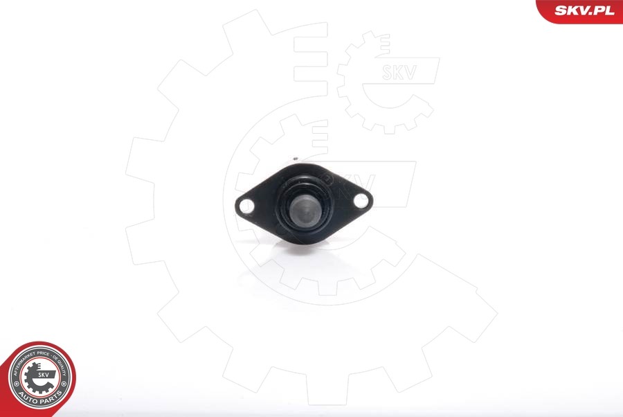ESEN SKV 08SKV033 Idle Control Valve, air supply for CITROËN,PEUGEOT