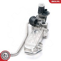 Esen SKV Agr-Ventil 14SKV096 FüR Seat