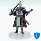 Purple Dragon Knight - Adventures in Faerun #22 D&D Icons of the Realms