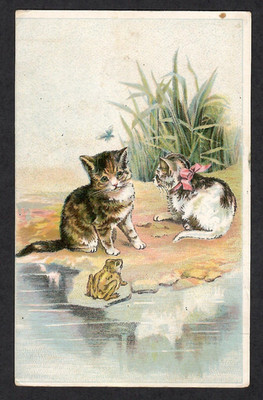 KITTENS & FROG~~PEARLINE LAUNDRY SOAP~~A SENSIBLE WOMAN