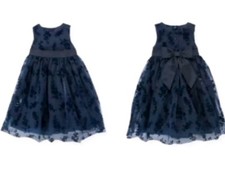 Janie and Jack OPULENT OPERA size 2 Floral Flocked Tulle Holidays Dress EUC