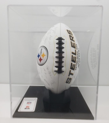 2021 NFL Pittsburgh Steelers Rawlings Signature Football with Case