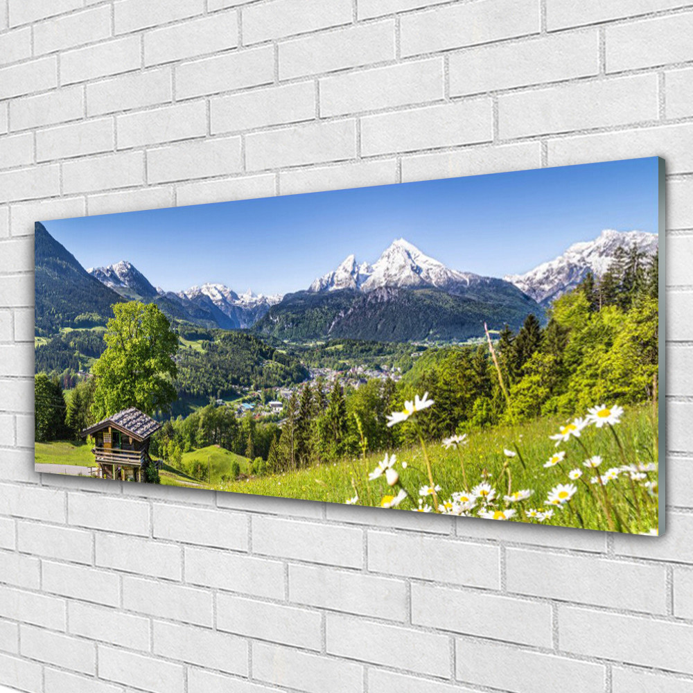 Tableau mural Plexiglas® 125x50 pour illuminer un salon sombre avec un paysage de montagne