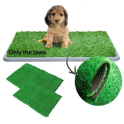 dog pee mat grass