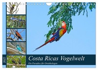 Costa Ricas Vogelwelt (Wandkalender 2027 Din A4 Quer), Calvendo Monatskalender