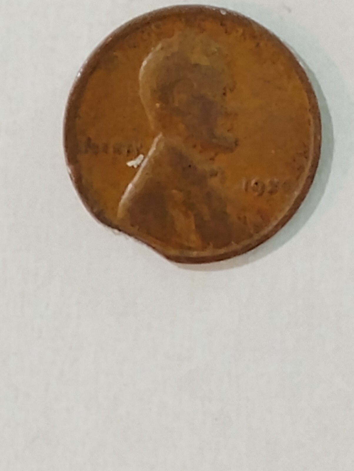 Picture 4 of 19