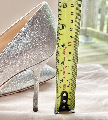 Sergio Rossi Chichi 090 Shiny Silver Leather Point Toe