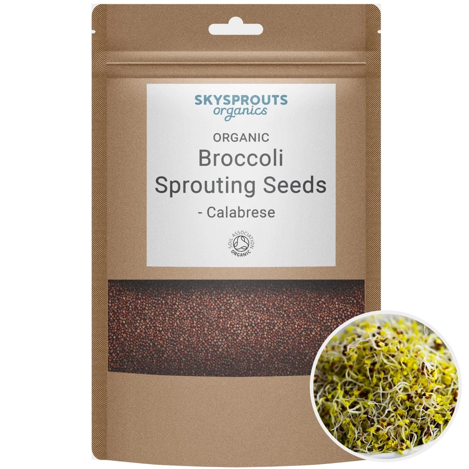 Organic Broccoli Sprouting Seeds - Calabrese | SkySprouts