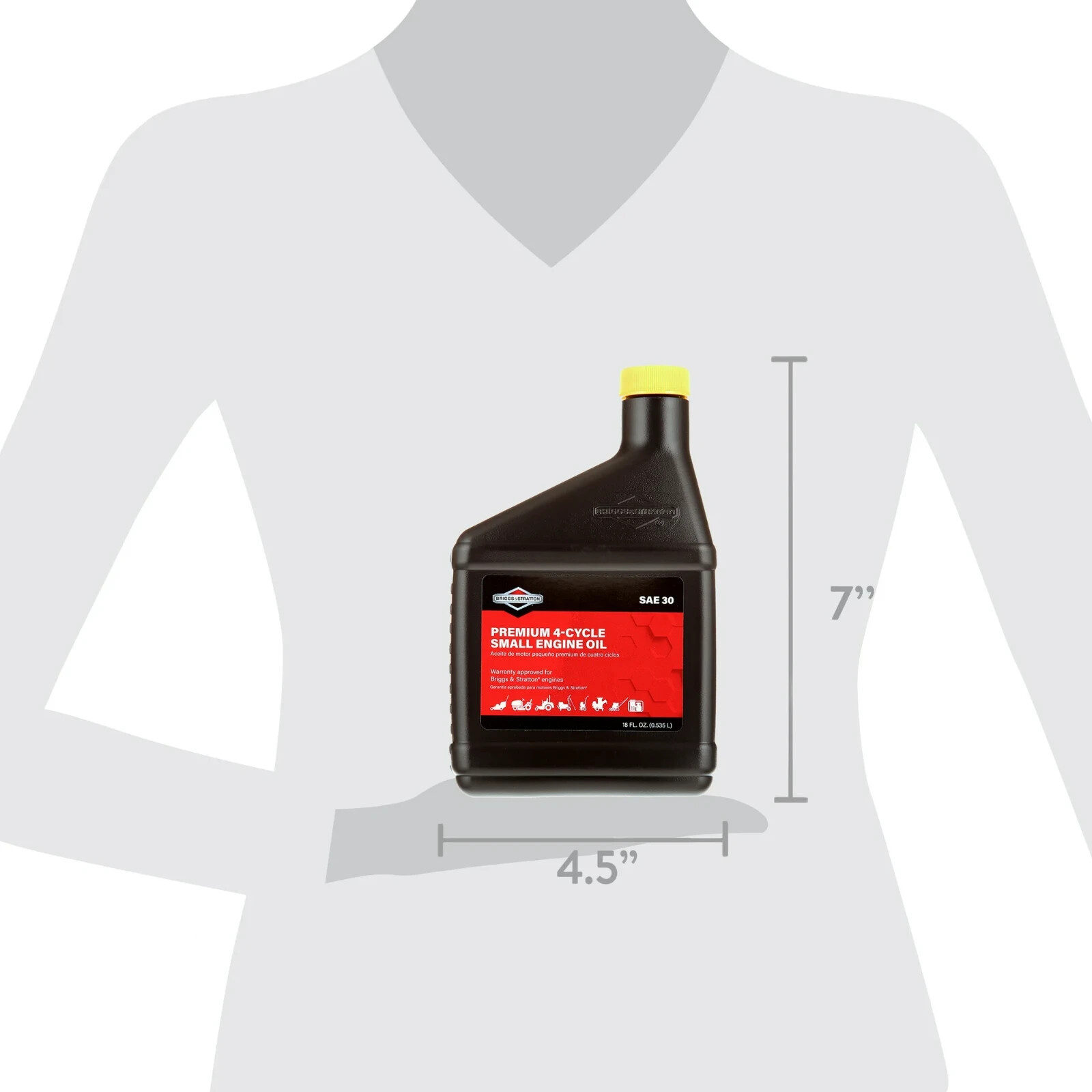 Briggs & Stratton 100005 SAE 30W 4-Cycle Engine Oil, 18 oz. Bottle