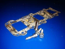 6H4-13624-01-94 97313-06025-00 reed cover plate  yamaha 50hp 40hp?