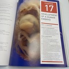 Picture 17 of 23