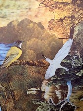 Vintage 70s Kings Road Wildlife Deer Duck Hunt Nature Poly Photo Shirt Disco