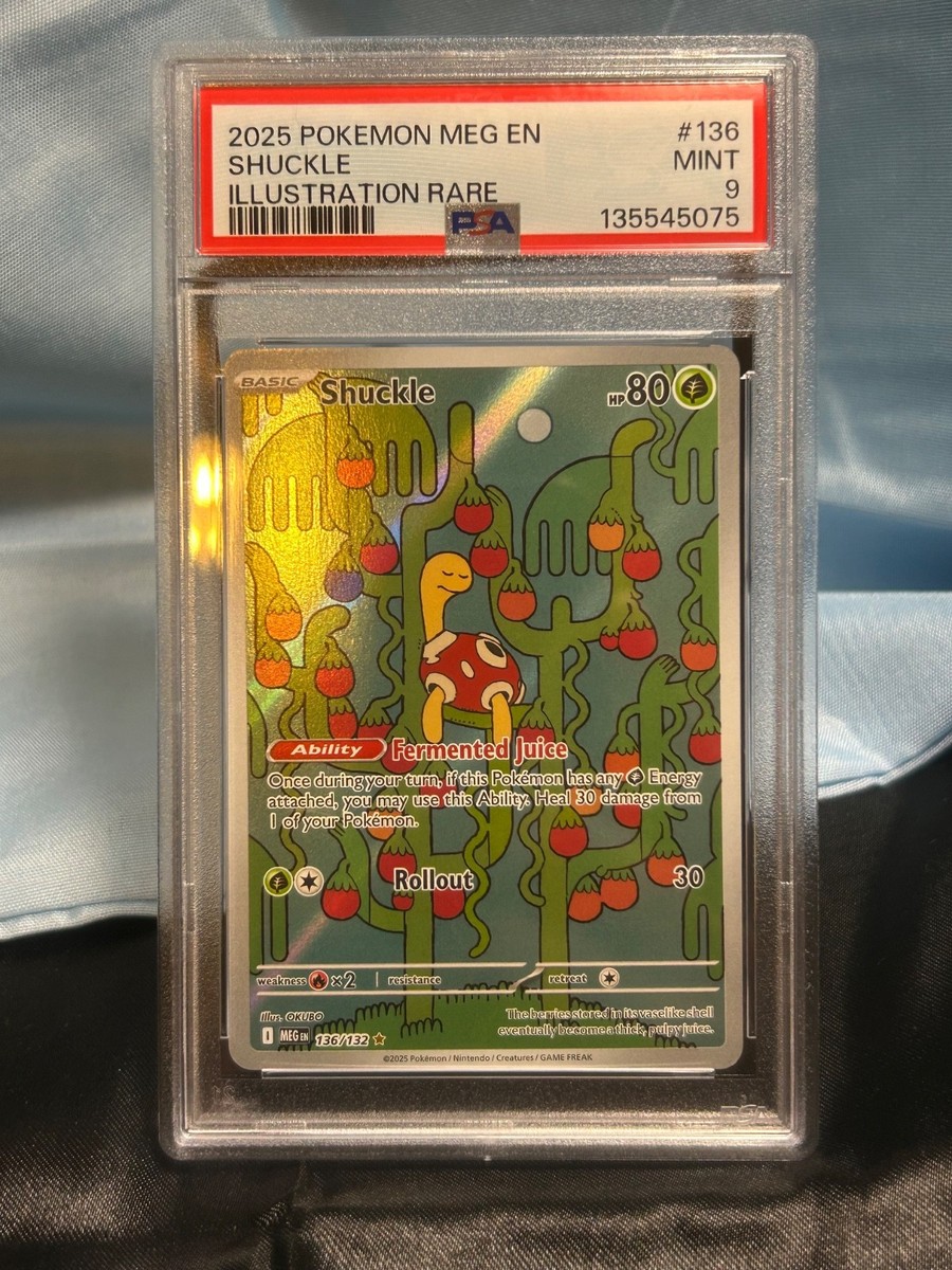世界201枚 PSA10 ツボツボ shuckle 2009 011 60 世界201枚 PSA10 ツボツボ shuckle 2009 011 60 PSA 10 Pokemon Card