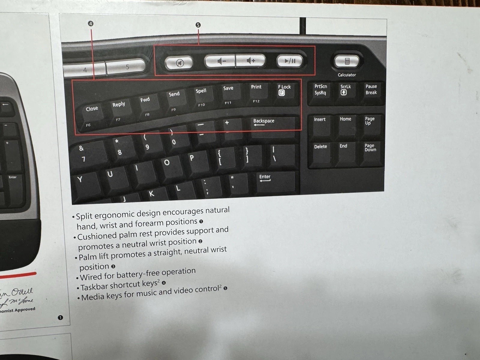 Picture 5 of 6