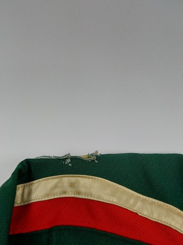 Minnesota Wild Youth Hockey Jersey Size S/M - Picture 3 of 8