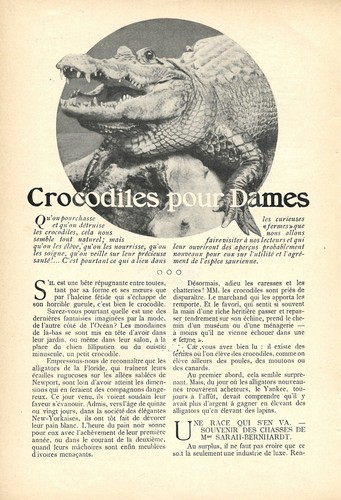 Crocodiles pour dames - Article de presse 1907 - Picture 2 of 4