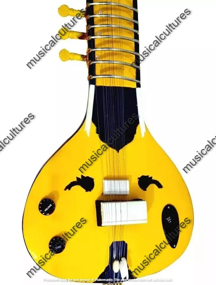 Sitar Professional Musical String Instrument Electric Travel Tun Wood