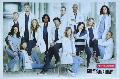 Grey's Anatomy Cast in Costume Poster 24 x 36