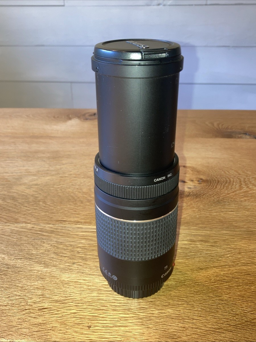 Canon EF 75-300mm F/4-5.6 Ⅲ Zoom Lens- Has Lens Fungus | eBay
