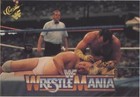 1990 Classic WWF The History of Wrestlemania - Brutus "The Barber" Beefcake #25