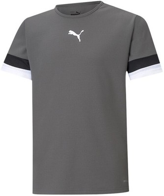 PUMA teamRISE Jersey, grau, Restbestände