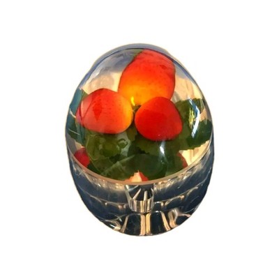 Kanister & Gläser Sammlerstücke Zuhause: 60er Jahre Plexiglas Einkochen Erdbeer Marmeladentopf.