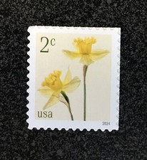 2024USA 5898 2c Daffodils - Single From Sheet Mint NH  flower