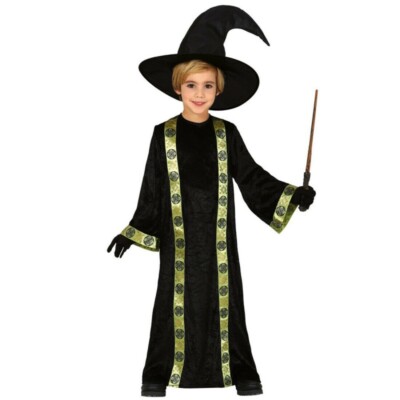 CARNEVALE HALLOWEEN VESTITO COSTUME MAGO MERLINO STREGONE WIZARD