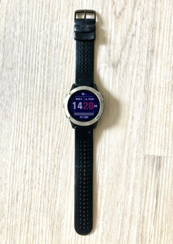 Garmin fenix 6 GPS Watch Silver with Black Band (011-04789-00)