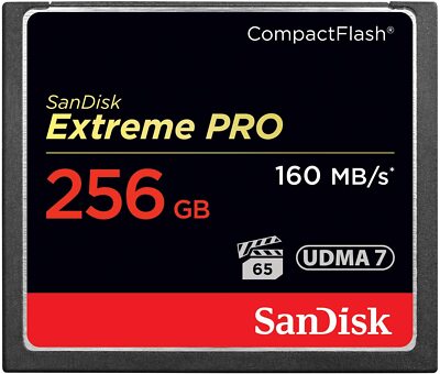 SanDisk 256G Extreme PRO Compact Flash 160MBs Memory Card Camera SDCFXPS-256G