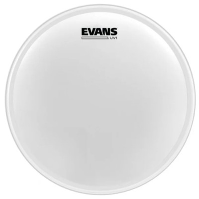 Evans BD20UV1 20'' Uv1 Btr Ctd